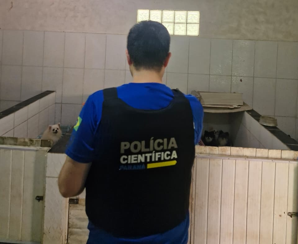 PCPR e PCIPR resgatam 50 cães em situação de maus-tratos em Piraquara
