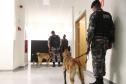 Polícia Científica e BOPE treinam cães de faro para encontrar novas drogas que estão em circulação