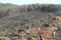 Seção de Crimes Ambientais da Polícia Científica fortalece proteção da fauna e da flora no Paraná