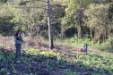 Seção de Crimes Ambientais da Polícia Científica fortalece proteção da fauna e da flora no Paraná