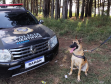 Cão da Polícia Científica detecta vestígios de sangue que olho humano não encontra