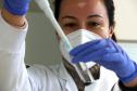 Cientistas são a fonte de maior confiança para os paranaenses, aponta pesquisa inédita