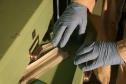  "Sala do Crime" do Museu de Ciências Forenses transforma perícia em experiência interativa 