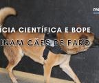 Polícia Científica e BOPE treinam cães de faro para encontrar novas drogas