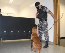 Polícia Científica e BOPE treinam cães de faro para encontrar novas drogas que estão em circulação