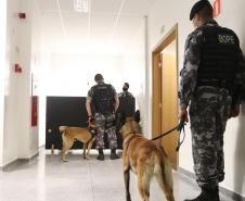 Polícia Científica e BOPE treinam cães de faro para encontrar novas drogas que estão em circulação