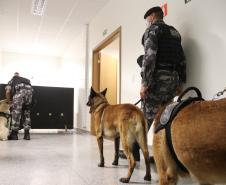 Polícia Científica e BOPE treinam cães de faro para encontrar novas drogas que estão em circulação