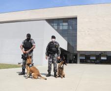 Polícia Científica e BOPE treinam cães de faro para encontrar novas drogas que estão em circulação