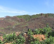 Seção de Crimes Ambientais da Polícia Científica fortalece proteção da fauna e da flora no Paraná