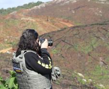 Seção de Crimes Ambientais da Polícia Científica fortalece proteção da fauna e da flora no Paraná