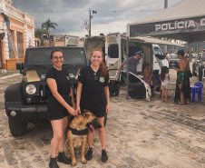 Polícia Científica encerra a Operação Verão Maior Paraná Seguro com aumento de 62% nos exames periciais