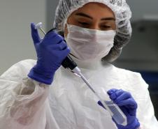 Seção de Genética Molecular Forense completa 22 anos