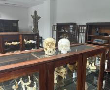 Réplica em 3D de crânio é a novidade no acervo do Museu Paranaense de Ciências Forenses