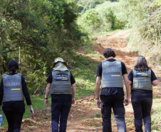 Seção de Crimes Ambientais da Polícia Científica já emitiu mais de mil requisições de exames periciais