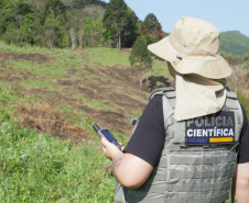 Seção de Crimes Ambientais da Polícia Científica já emitiu mais de mil requisições de exames periciais