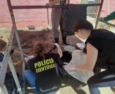 Seção de Crimes Ambientais da Polícia Científica já emitiu mais de mil requisições de exames periciais
