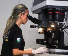 Polícia Científica alcança 500 matches: Paraná é 2º estado que mais detectou compatibilidade balística no País