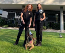 Com nome inspirado na técnica, Raman é o 1º integrante canino da Polícia Científica