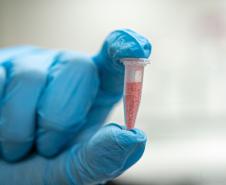 Polícia Científica identifica cocaína rosa após apreensão no Paraná