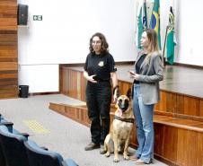 Servidores da Sesp visitam unidades da Polícia Científica em Curitiba