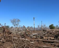 Seção de Perícias Ambientais da PCIPR acelera resposta do Paraná a crimes contra fauna e flora