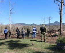 Seção de Perícias Ambientais da PCIPR acelera resposta do Paraná a crimes contra fauna e flora