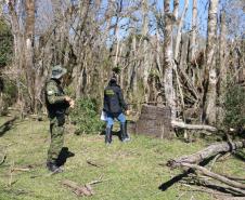 Seção de Perícias Ambientais da PCIPR acelera resposta do Paraná a crimes contra fauna e flora