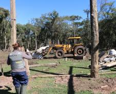 Seção de Perícias Ambientais da PCIPR acelera resposta do Paraná a crimes contra fauna e flora