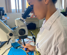 Perícia na era digital: trabalho da Polícia Científica cresce para elucidar crimes cibernéticos