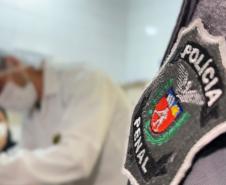 Paraná amplia banco de perfis genéticos para casos criminais com coleta em Foz do Iguaçu