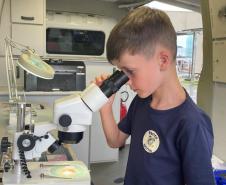 Exposição do Museu Paranaense de Ciências Forenses integra programação do Verão Maior Paraná