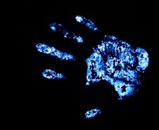 Luminol reforça atuação da Polícia Científica do Paraná a identificar vestígios ocultos