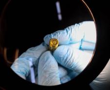 Com balística avançada, Polícia Científica elucida conexão de crimes com a mesma arma