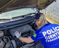 PCIPR reforça estrutura e amplia em 36% os exames periciais no Litoral durante o Verão Maior