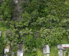 Polícia Científica intensifica perícias ambientais no Litoral durante o Verão Maior Paraná