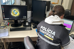 Acidente aéreo em Vinhedo: Polícia Científica do Paraná já atendeu 26 famílias em Cascavel