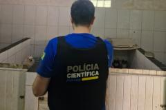 PCPR e PCIPR resgatam 50 cães em situação de maus-tratos em Piraquara