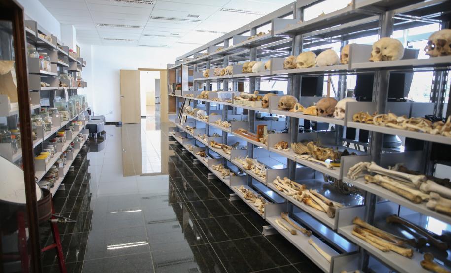 Museu do Instituto Médico-Legal de Curitiba