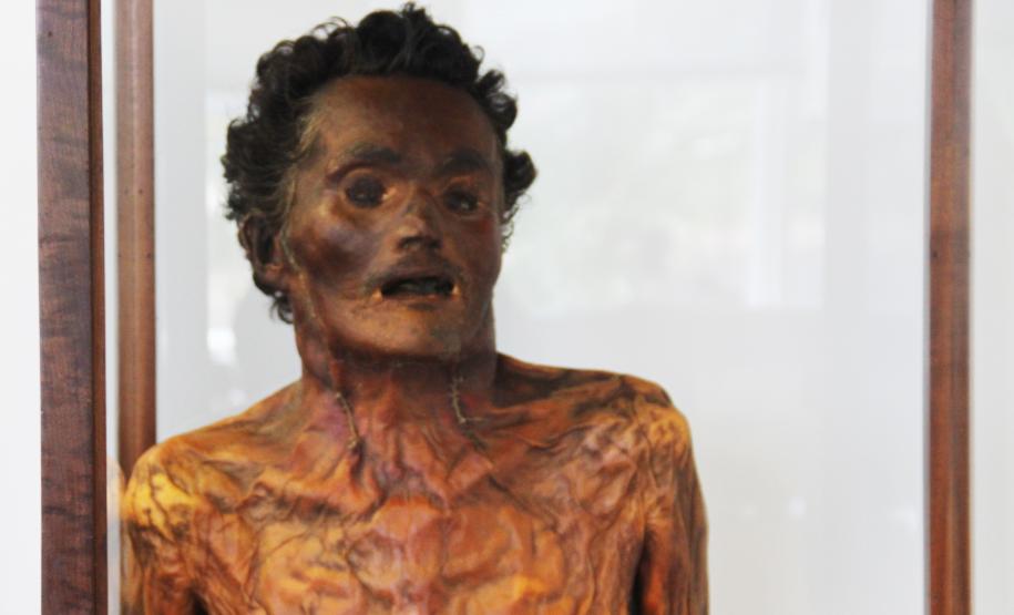 Segurança destaca dedicação do curador do Museu de Ciências Forenses da Polícia Científica