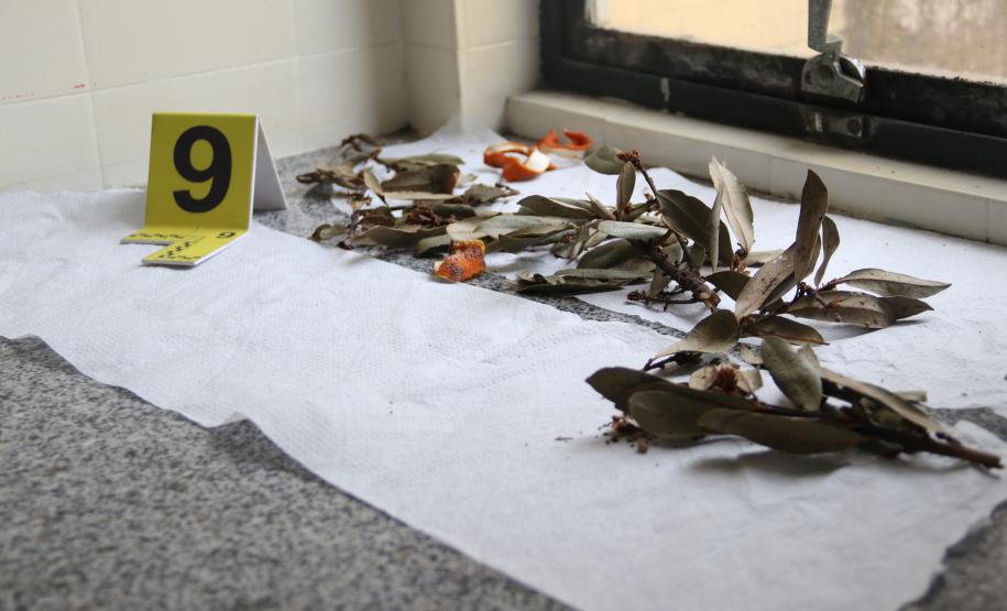 Crimes ambientais e ciência forense são discutidos durante 18ª Semana Nacional de Ciência, Tecnologia e Inovação