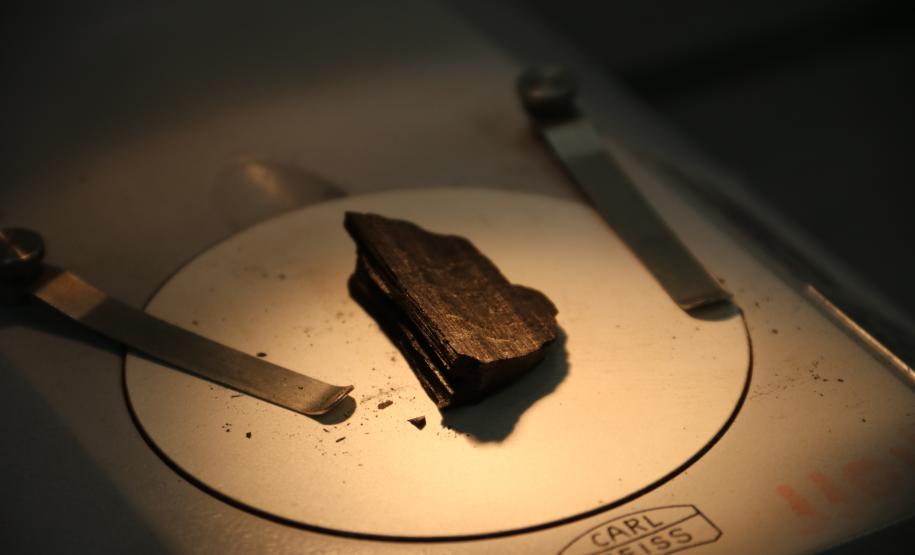 Crimes ambientais e ciência forense são discutidos durante 18ª Semana Nacional de Ciência, Tecnologia e Inovação