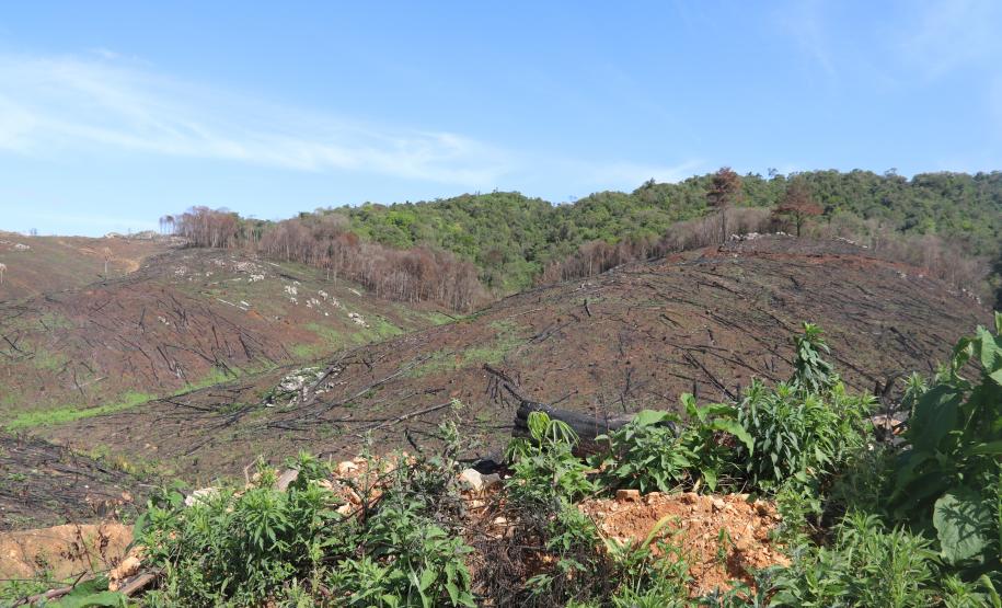 Seção de Crimes Ambientais da Polícia Científica fortalece proteção da fauna e da flora no Paraná