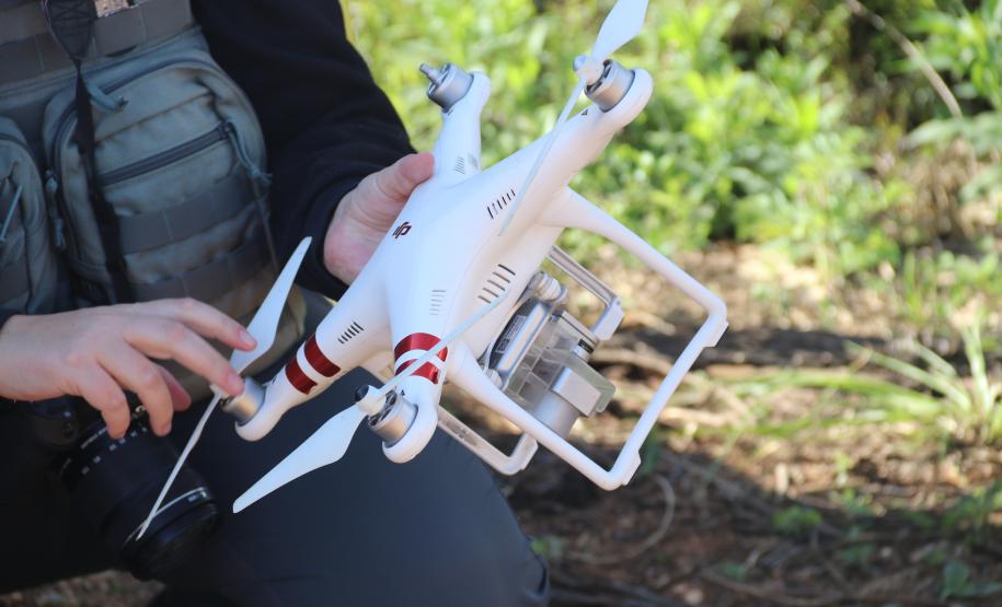 Seção de Crimes Ambientais da Polícia Científica fortalece proteção da fauna e da flora no Paraná