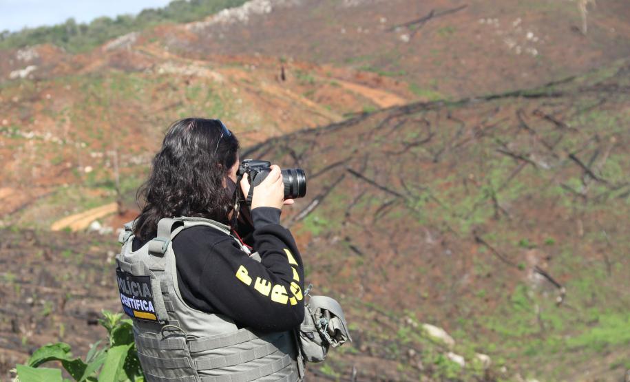 Seção de Crimes Ambientais da Polícia Científica fortalece proteção da fauna e da flora no Paraná