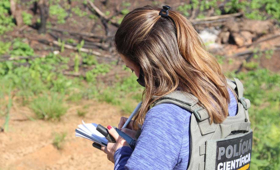Seção de Crimes Ambientais da Polícia Científica fortalece proteção da fauna e da flora no Paraná