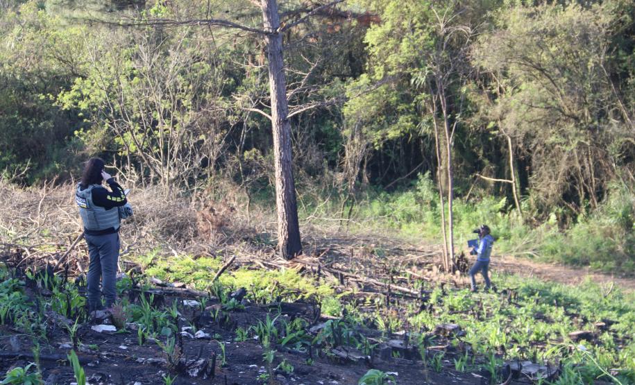Seção de Crimes Ambientais da Polícia Científica fortalece proteção da fauna e da flora no Paraná