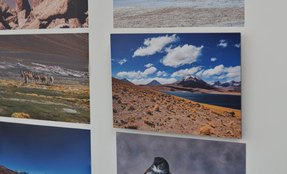 mostra