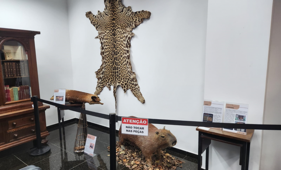 Polícia Científica leva exposição sobre crimes ambientais para o litoral