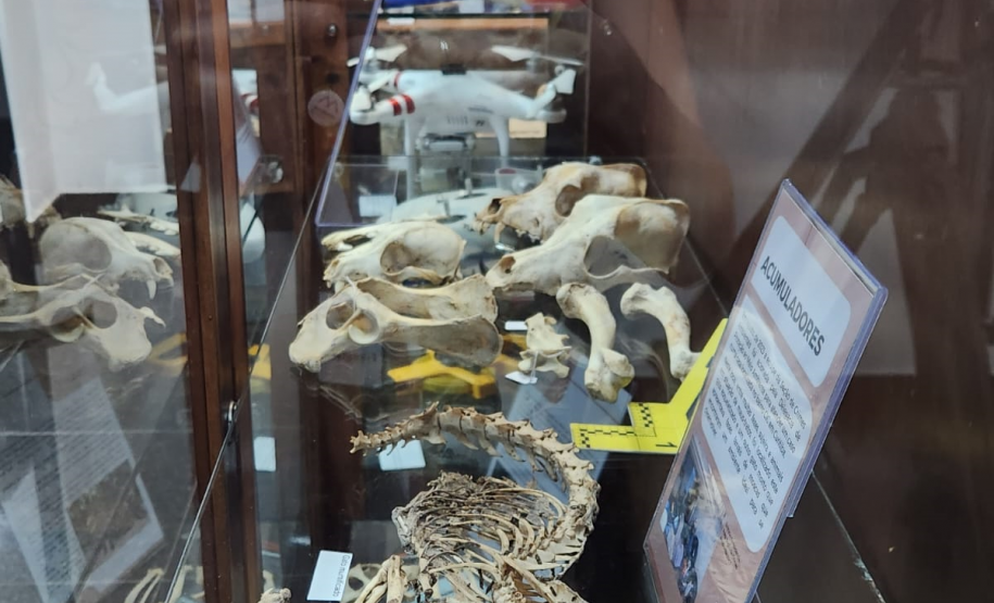 Polícia Científica leva exposição sobre crimes ambientais para o litoral