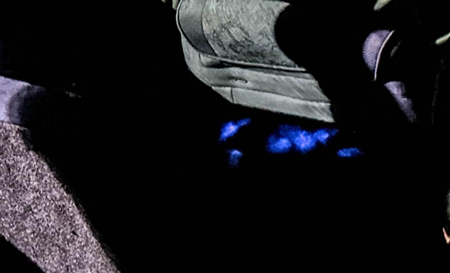 O luminol é borrifado em locais onde há suspeita de que possa haver vestígios de sangue